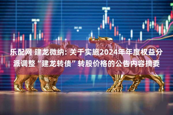 乐配网 建龙微纳: 关于实施2024年年度权益分派调整“建龙转债”转股价格的公告内容摘要