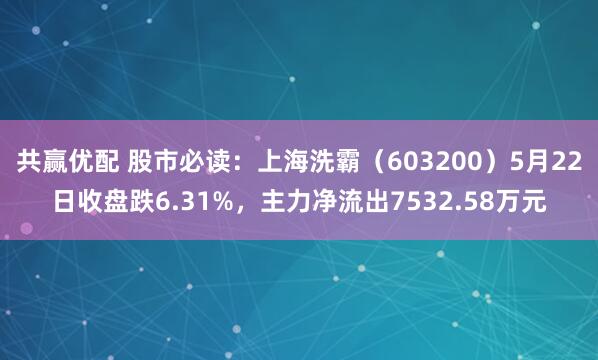 共赢优配 股市必读:上海洗霸(603200)5月22日收盘跌6.31%,主力净流出7532.58万元