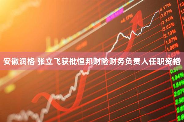 安徽润格 张立飞获批恒邦财险财务负责人任职资格