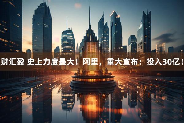 财汇盈 史上力度最大！阿里，重大宣布：投入30亿！