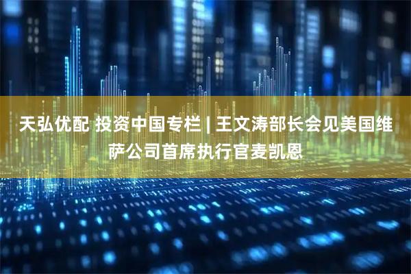天弘优配 投资中国专栏 | 王文涛部长会见美国维萨公司首席执行官麦凯恩