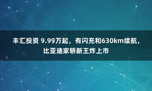 丰汇投资 9.99万起，有闪充和630km续航，比亚迪家轿新王炸上市